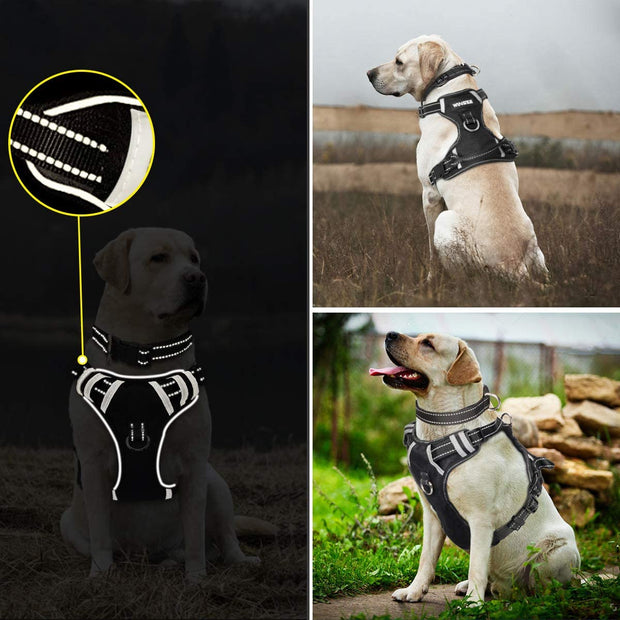 No Pull, Pet Harnesses with Dog Collar, Adjustable Reflective Oxford Outdoor Vest, Front/Back Leash Clips