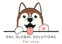 DNL Global Solutions LLC